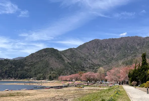 河口湖の写真・動画_image_829429