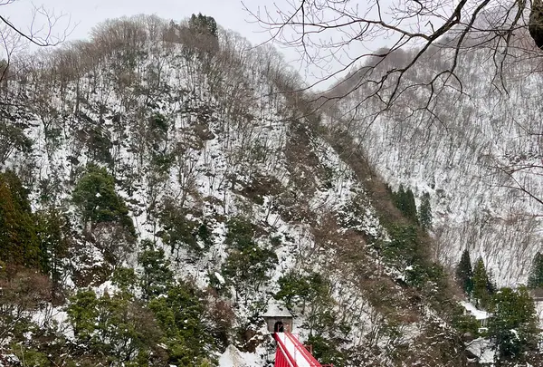 やまびこ展望台の写真・動画_image_829902