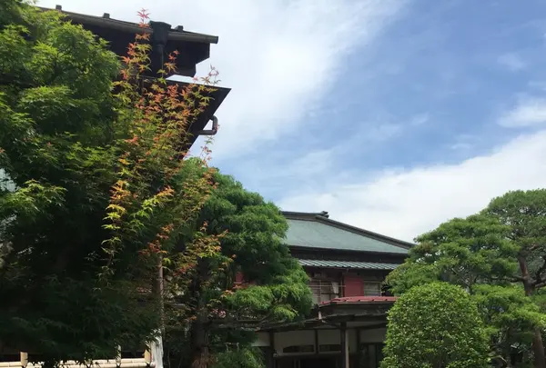 千人風呂　金谷旅館の写真・動画_image_82995
