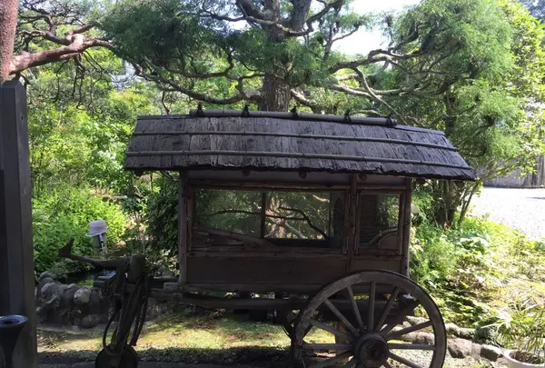 千人風呂　金谷旅館の写真・動画_image_82996