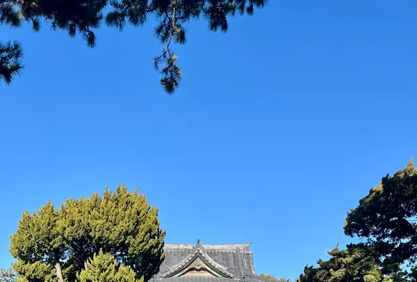 森戸神社の写真・動画_image_830223