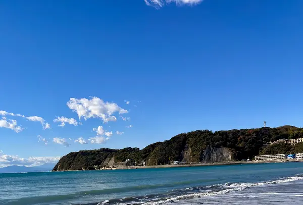 逗子海水浴場の写真・動画_image_830227