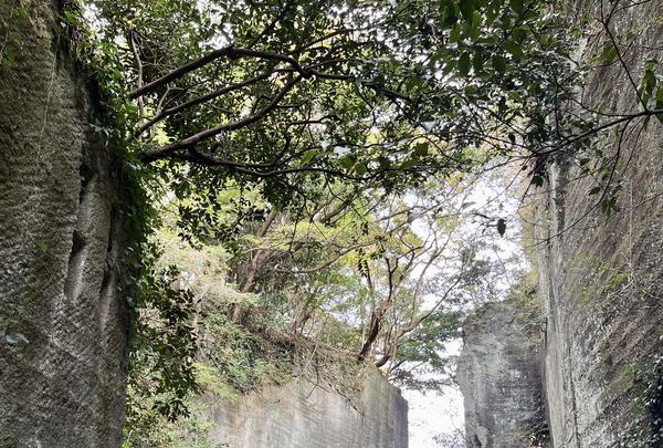 鋸山 日本寺 展望台の写真・動画_image_830413
