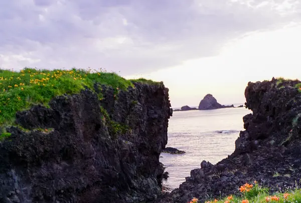 小田の写真・動画_image_83048