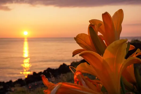 小田の写真・動画_image_83050