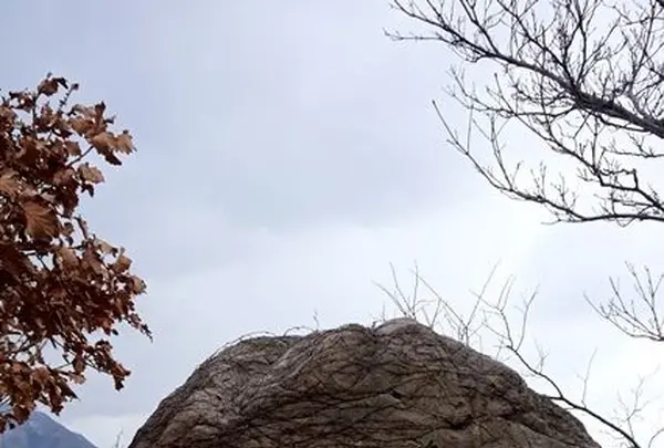 跳坂・Ｚ坂の写真・動画_image_83064