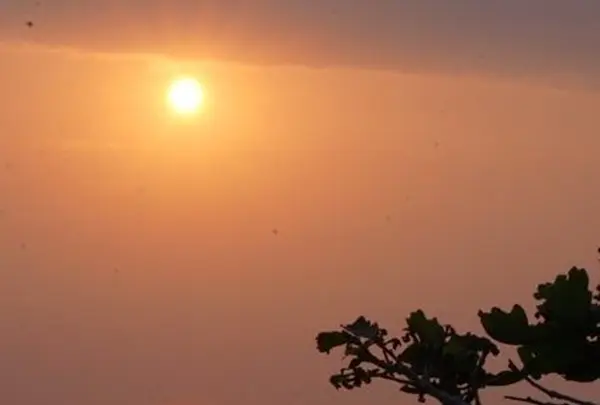 二ツ亀海水浴場の写真・動画_image_83117