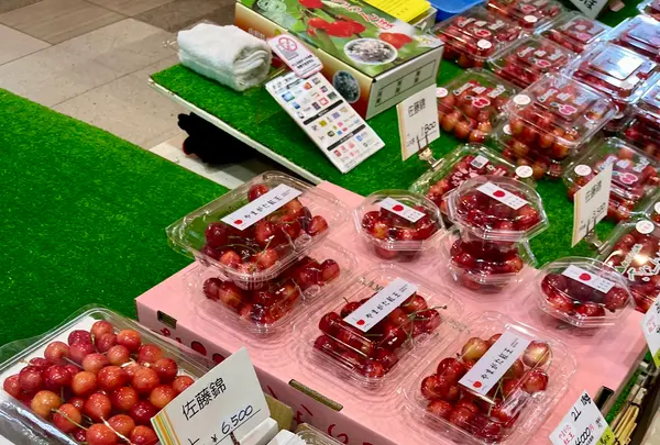 やまがた酒巡り Chetto（県産酒・県産ワイン試飲コーナー）の写真・動画_image_831183
