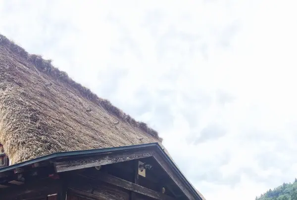 五箇山の写真・動画_image_83162