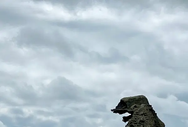 ゴジラ岩の写真・動画_image_832023