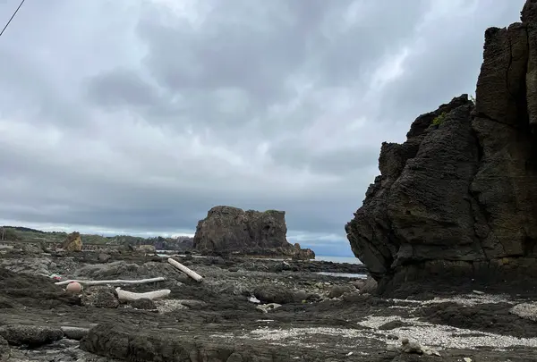 ゴジラ岩の写真・動画_image_832024