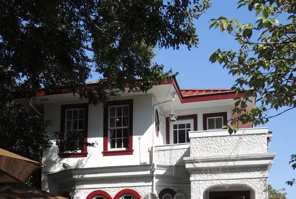 えの木ていの写真・動画_image_83239