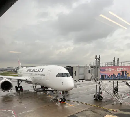 新石垣空港（南ぬ島石垣空港）の写真・動画_image_832665