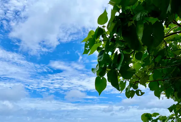 Villa Crystal Beachの写真・動画_image_832668