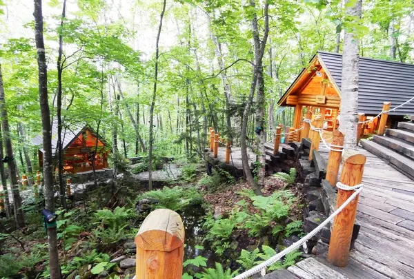 風のガーデンの写真・動画_image_83291