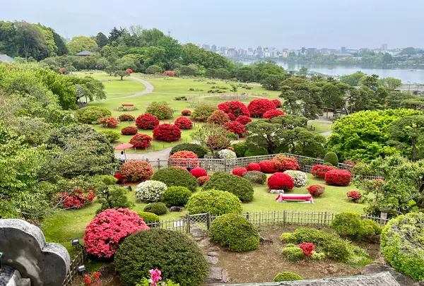 偕楽園の写真・動画_image_832972