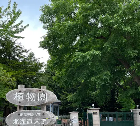 北海道大学植物園の写真・動画_image_833231
