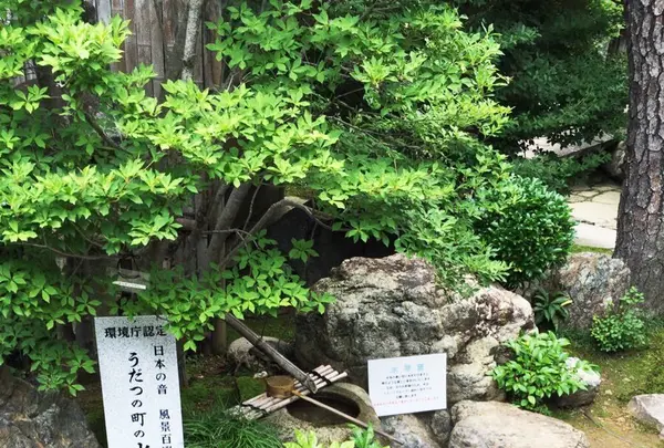 うだつが上がる美濃の町並みの写真・動画_image_83461