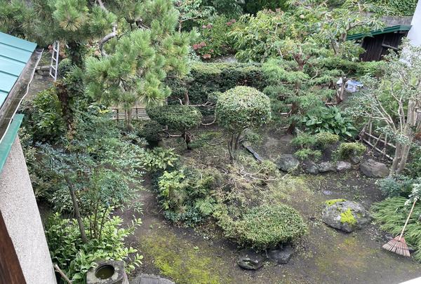 PPPの写真・動画_image_834681
