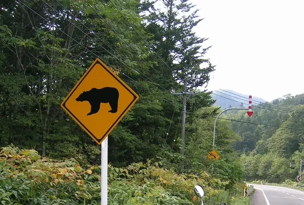 小樽駅の写真・動画_image_83469