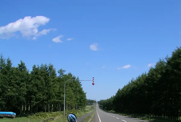 養老牛温泉の写真・動画_image_83477