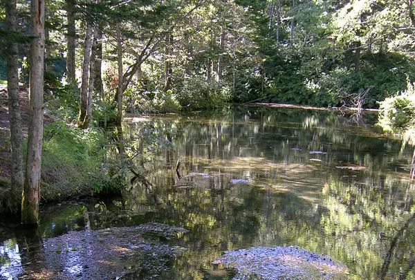 摩周湖の写真・動画_image_83478