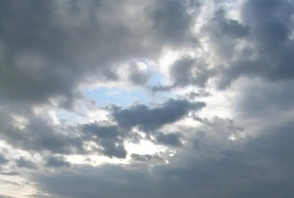 クリオネの写真・動画_image_83479