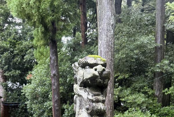 彌彦神社の写真・動画_image_834813