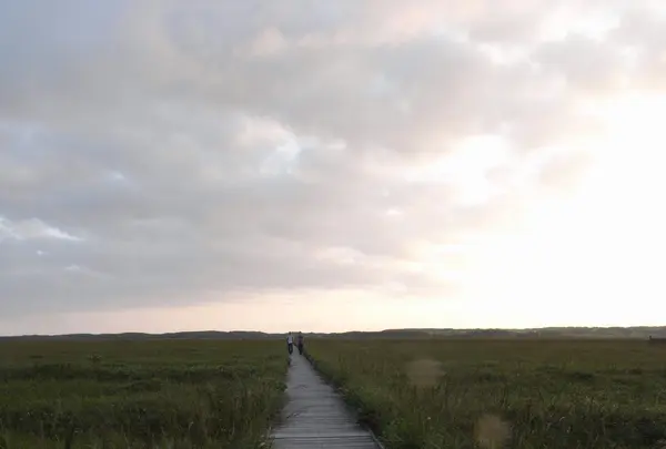 あしたの城の写真・動画_image_83487