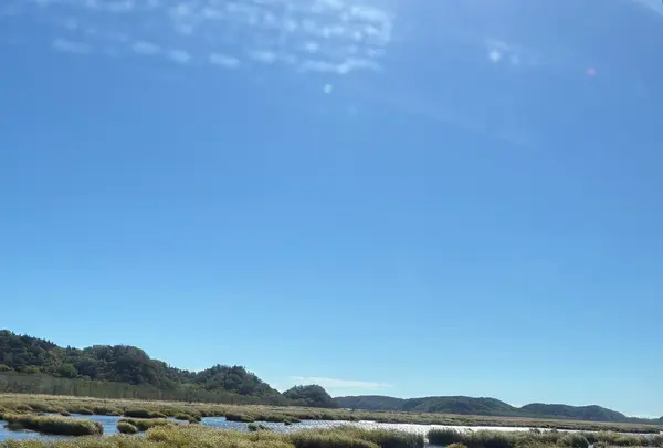 花咲線の写真・動画_image_836316