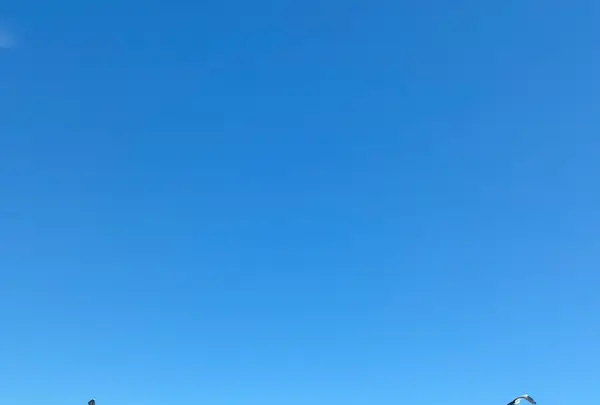 花咲線の写真・動画_image_836320