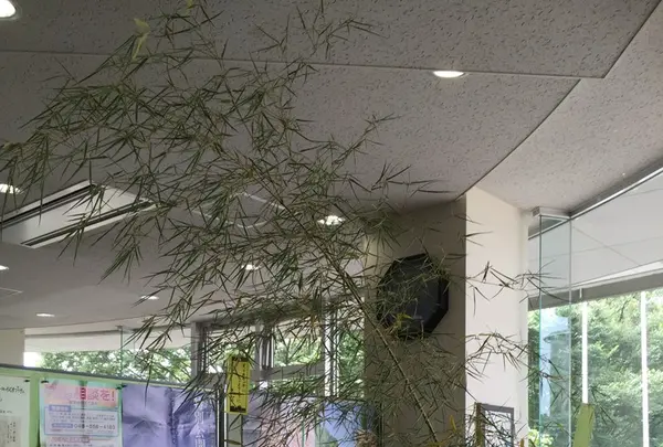 埼玉県立小川げんきプラザの写真・動画_image_83673