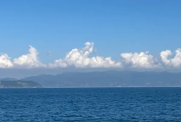 徳島港フェリーのりば（和歌山港ゆき）の写真・動画_image_837257