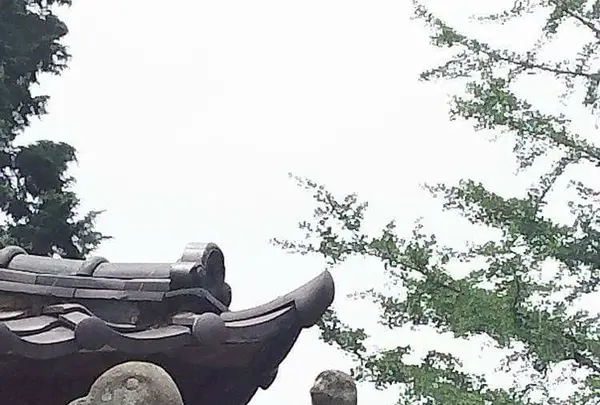 麦雑穀工房 マイクロブルワリーの写真・動画_image_83769