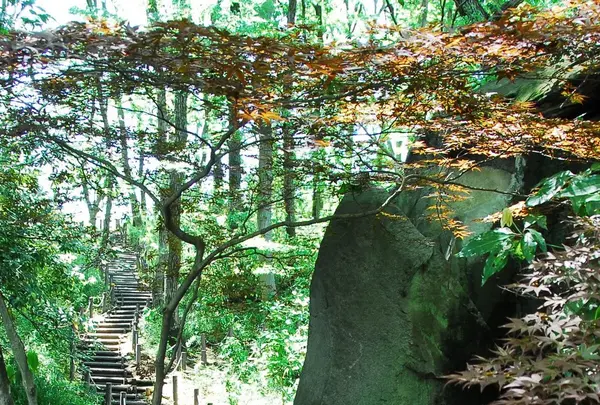 板橋区立郷土資料館の写真・動画_image_83802