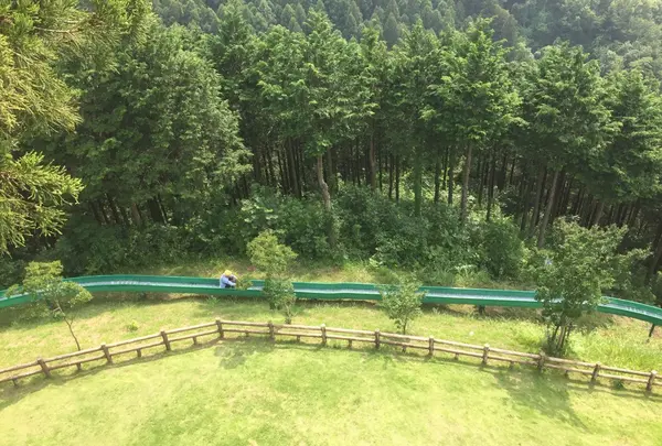 仙元山見晴らしの丘公園の写真・動画_image_83830