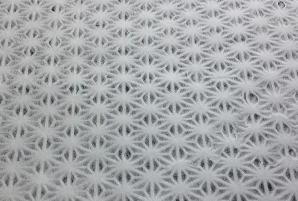 小川町和紙体験学習センターの写真・動画_image_83831