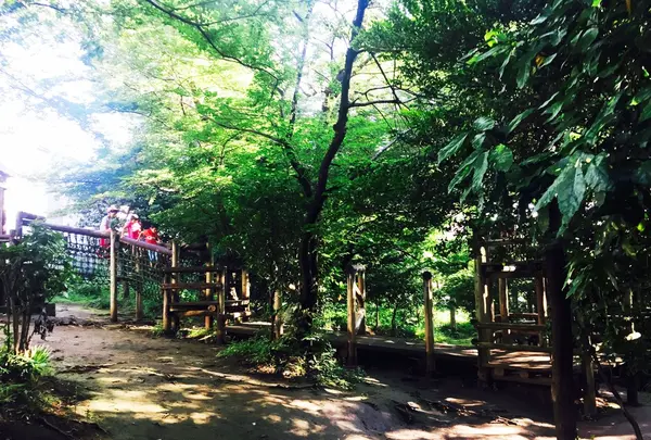 滝の根公園の写真・動画_image_83859