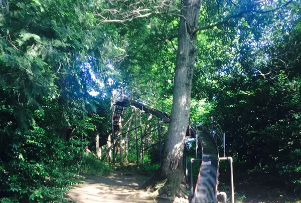 滝の根公園の写真・動画_image_83860