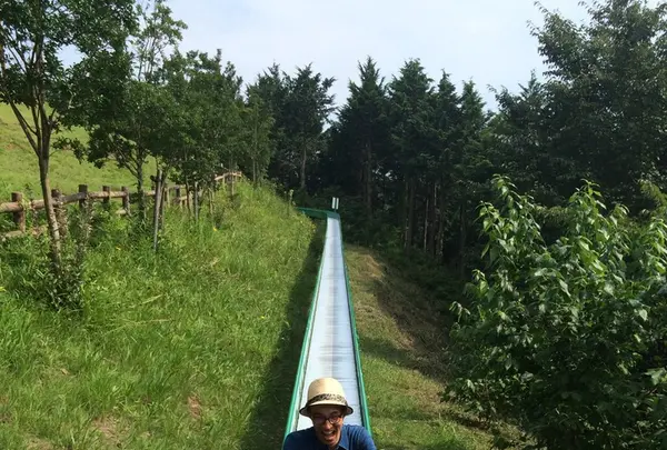 仙元山見晴らしの丘公園の写真・動画_image_83887