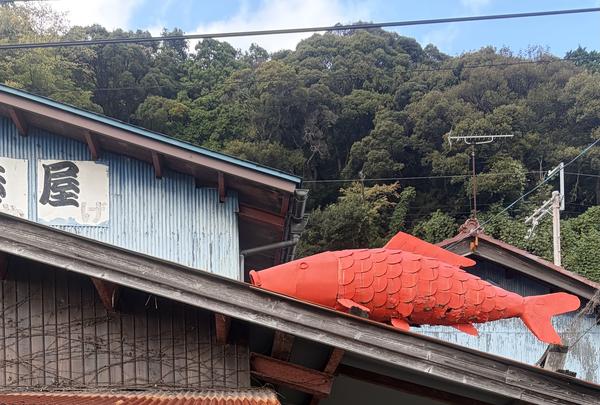 近江八幡市立沖島小学校 グラウンドの写真・動画_image_839354