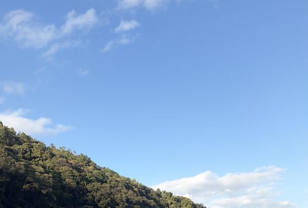 沖島港おきしま通船乗船場（堀切港行き）の写真・動画_image_839361
