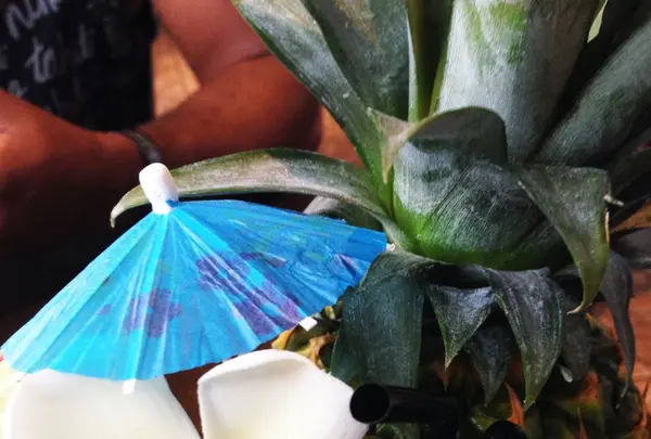 コアバーベキューの写真・動画_image_83988