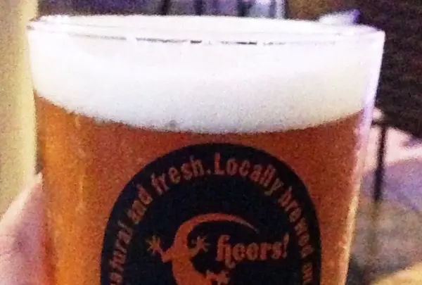 コアバーベキューの写真・動画_image_83991