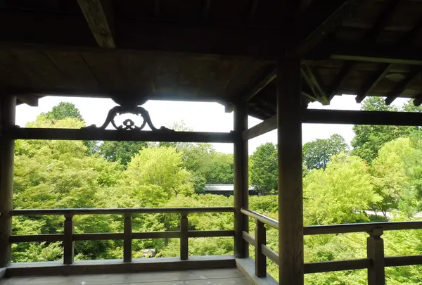東福寺の写真・動画_image_84125