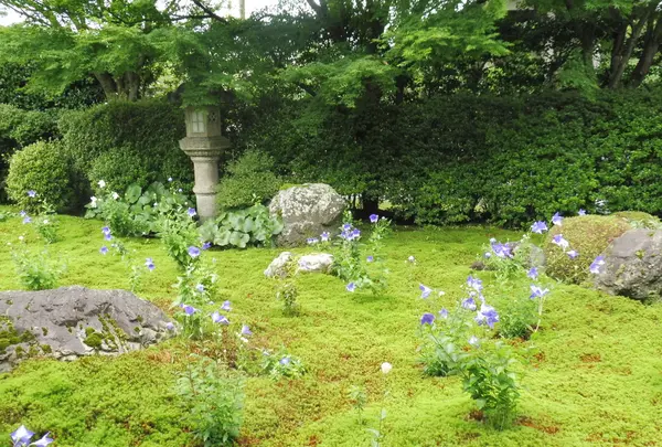 天得院の写真・動画_image_84129
