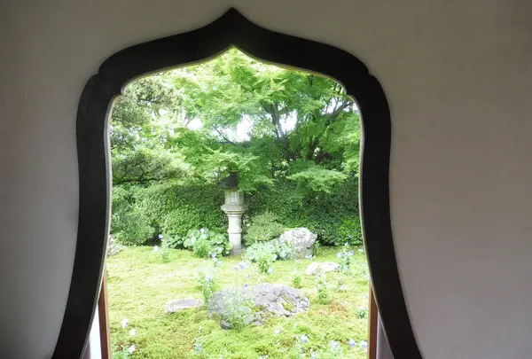 天得院の写真・動画_image_84130