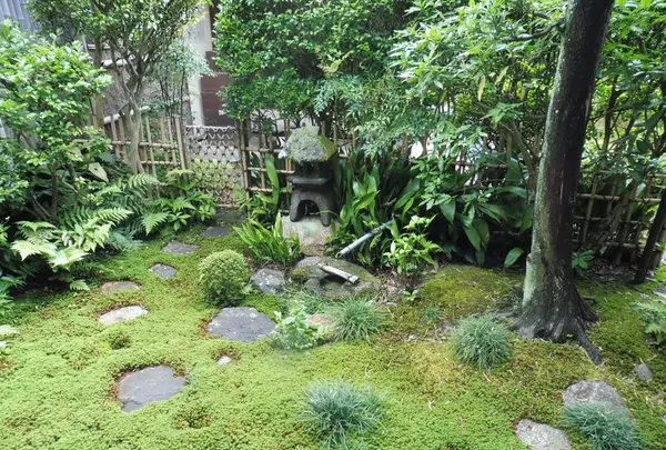 芬陀院の写真・動画_image_84194
