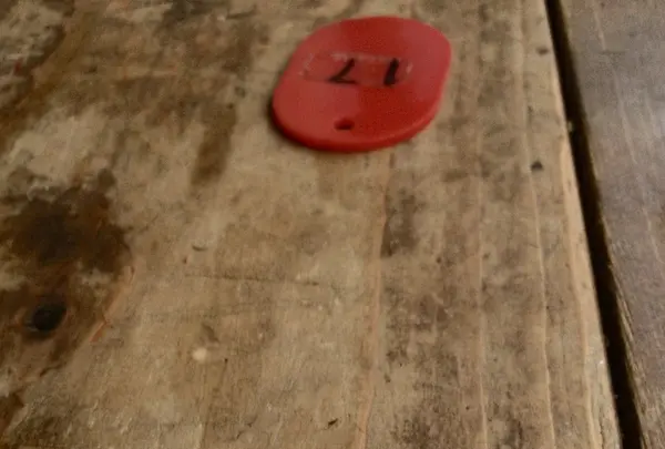 人形町食事処築地のマルショウの写真・動画_image_84252