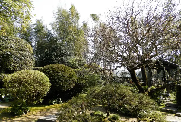 磯矢邸の写真・動画_image_84417